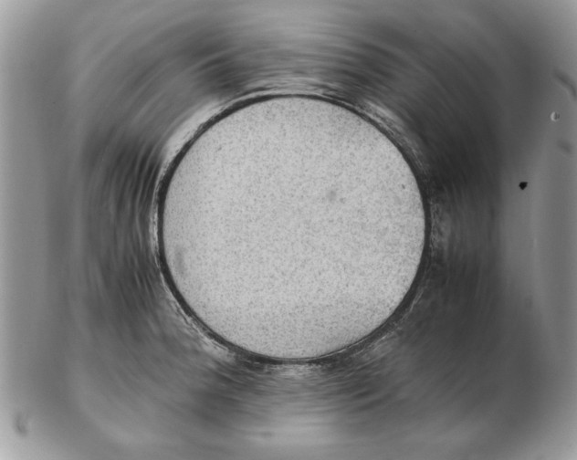 X0000102391188200808221818