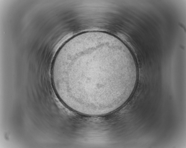 X0000102391189200808221818