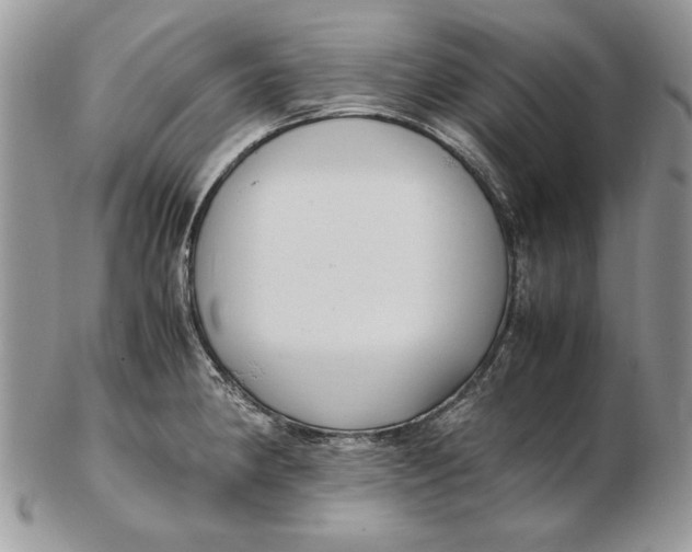 X0000102391190200808221818