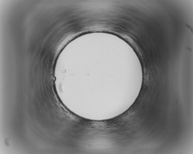 X0000102391191200808221818