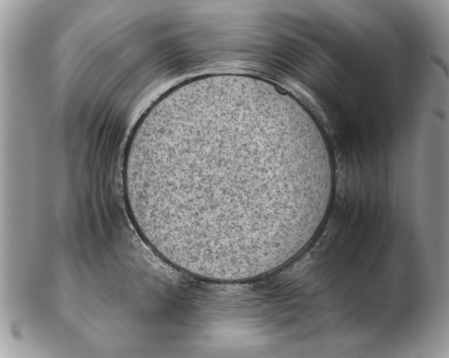 X0000102391192200808221818