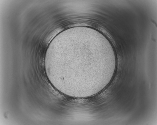 X0000102391193200808221818