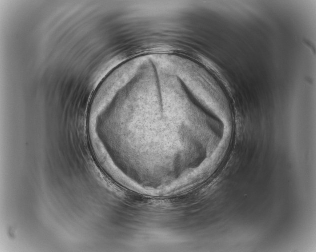 X0000102391194200808221818