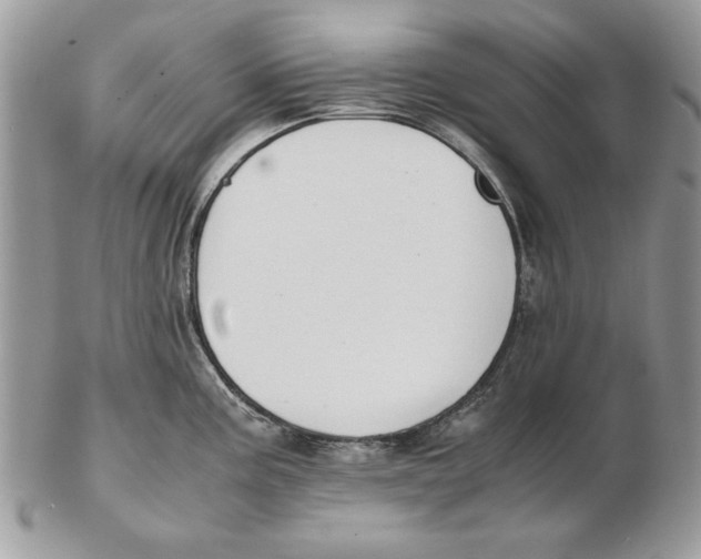 X0000102391195200808221818