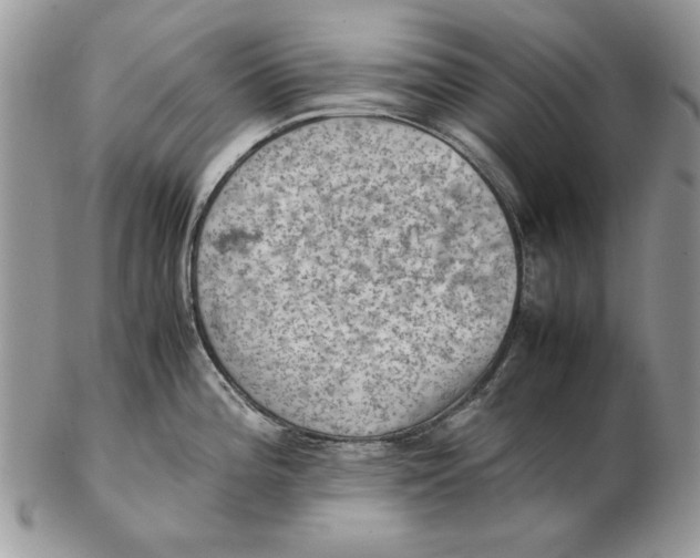 X0000102391196200808221818