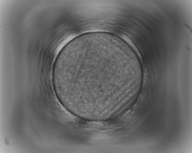 X0000102391197200808221818