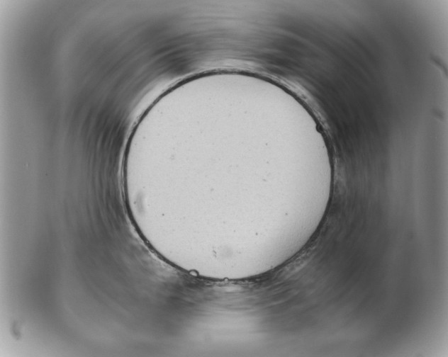 X0000102391199200808221818