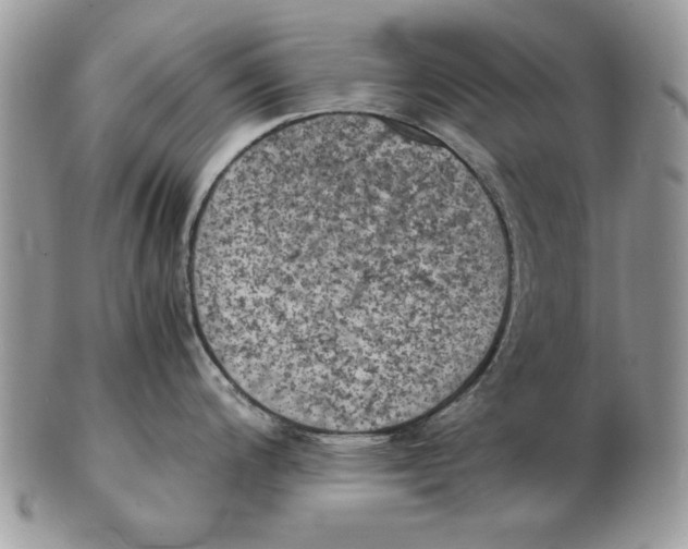 X0000102391200200808221818