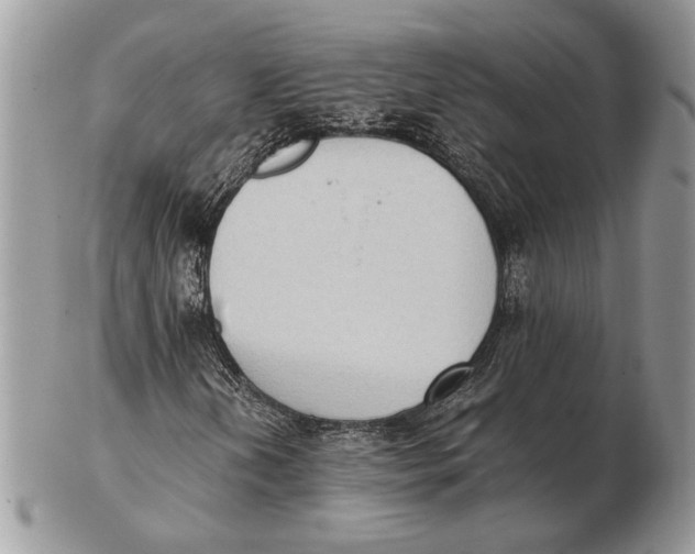 X0000102391202200808221817