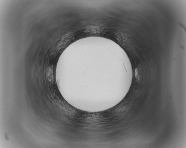 X0000102391203200808221817