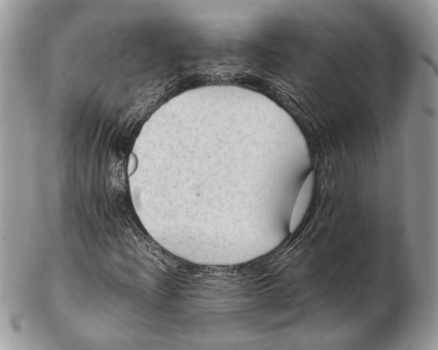 X0000102391204200808221817