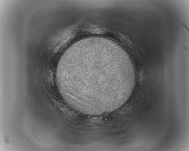 X0000102391205200808221817