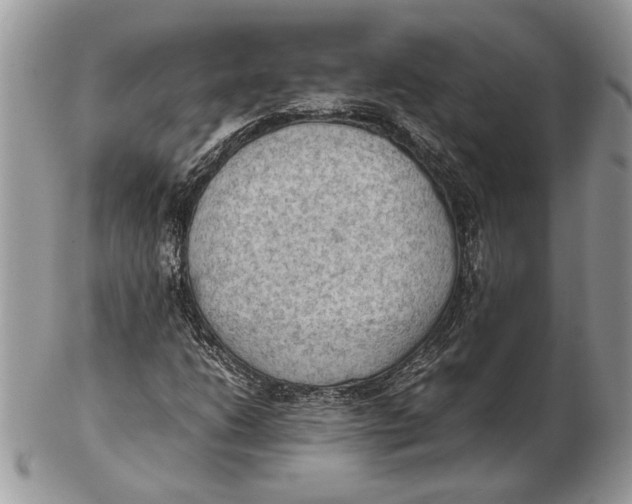 X0000102391206200808221817