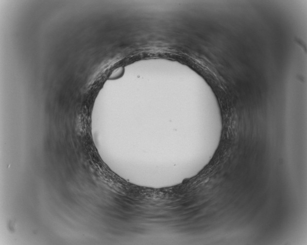 X0000102391207200808221817