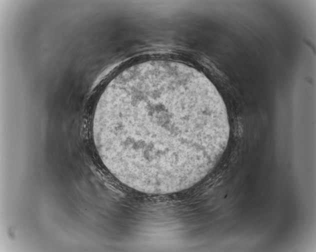 X0000102391208200808221817