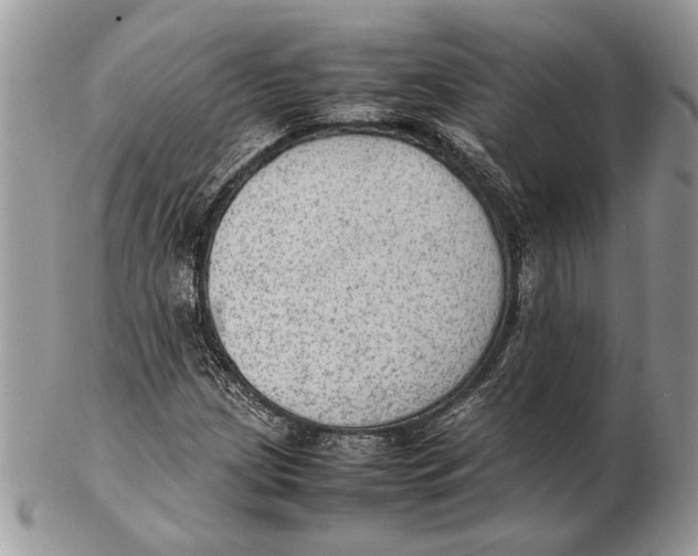 X0000102391209200808221817