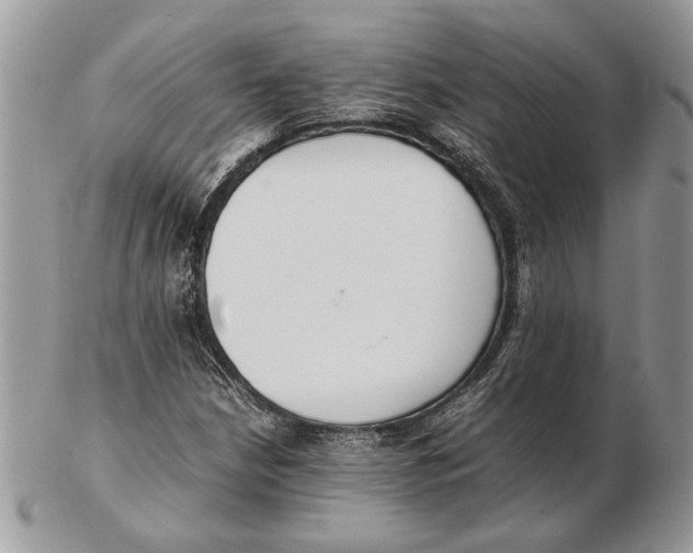 X0000102391210200808221817