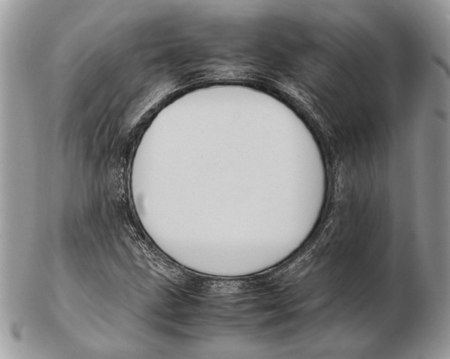 X0000102391211200808221817