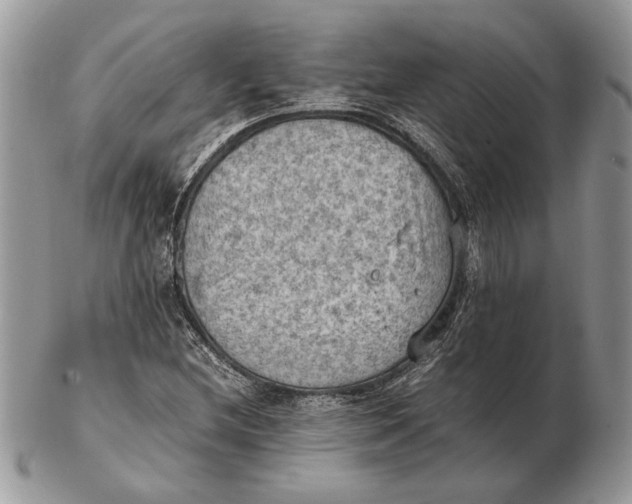 X0000102391212200808221817