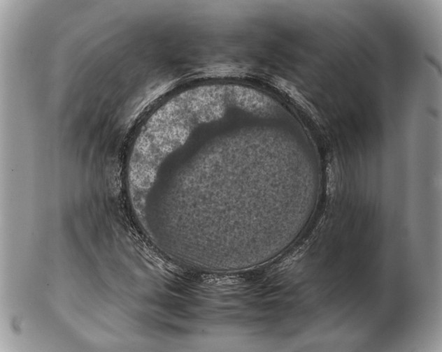 X0000102391213200808221817