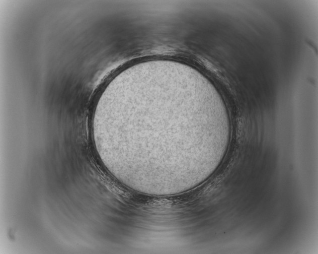 X0000102391214200808221817