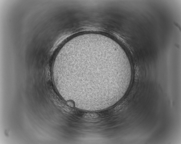 X0000102391215200808221817