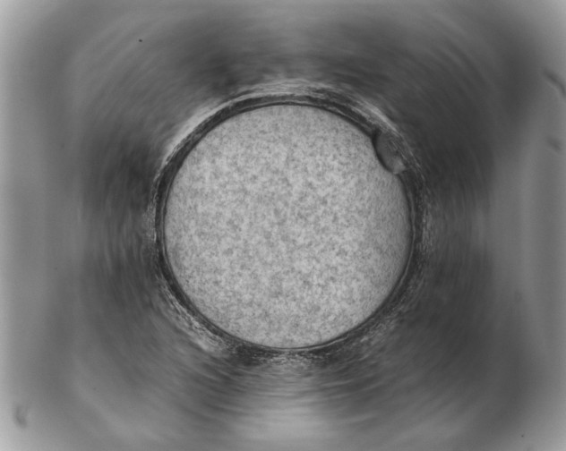 X0000102391216200808221817