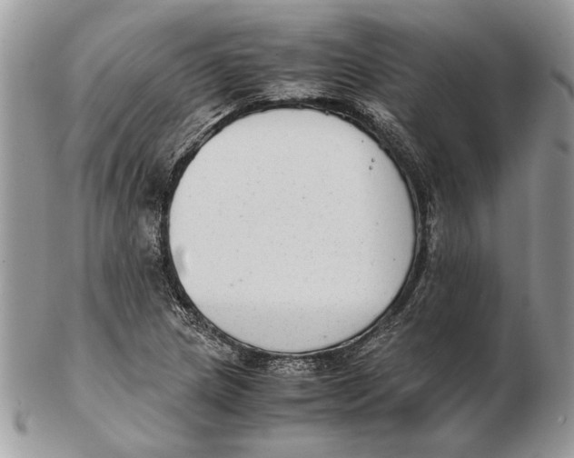 X0000102391217200808221817