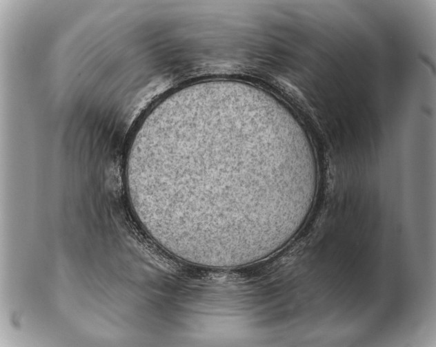 X0000102391218200808221817