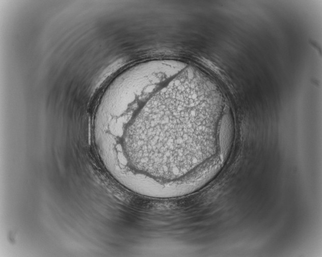 X0000102391219200808221817