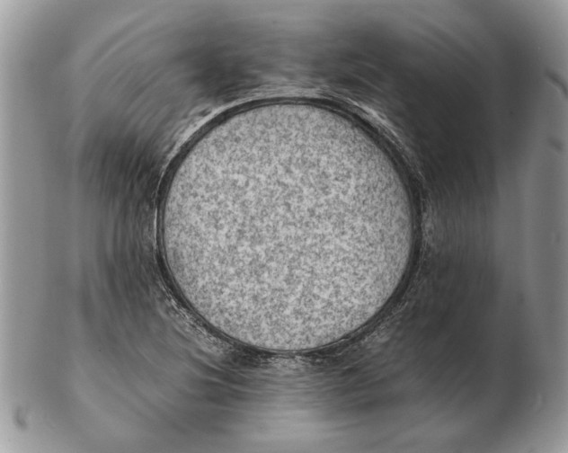 X0000102391220200808221817