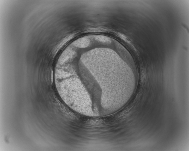 X0000102391221200808221817