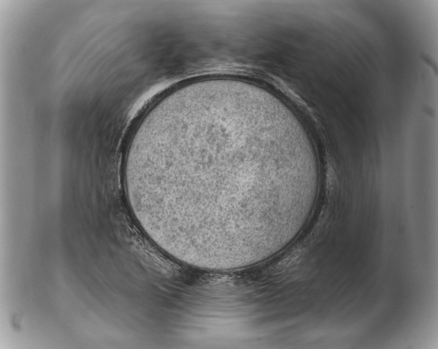 X0000102391222200808221817