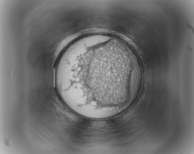 X0000102391223200808221817