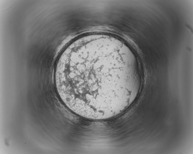 X0000102391224200808221817