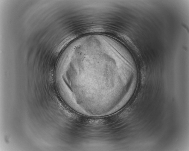 X0000102391225200808221817