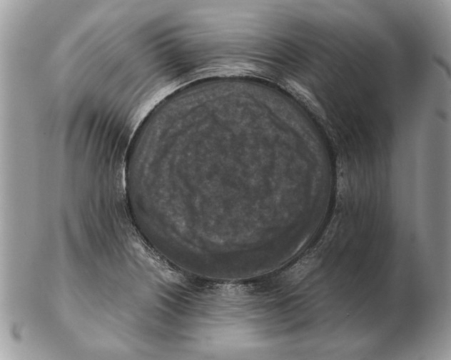 X0000102391226200808221817