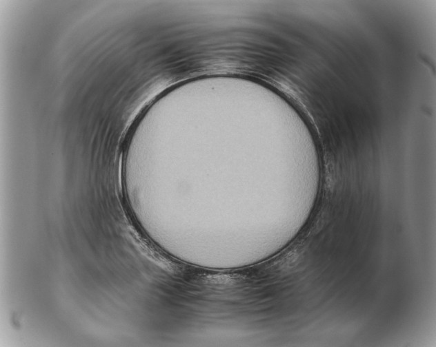 X0000102391227200808221817