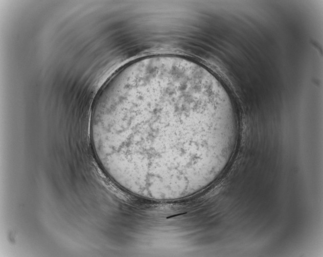 X0000102391228200808221817