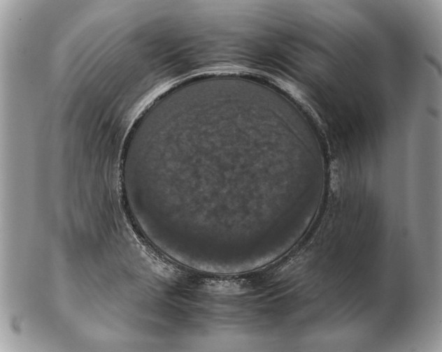 X0000102391229200808221817