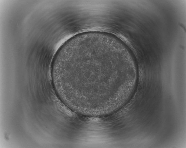 X0000102391230200808221817