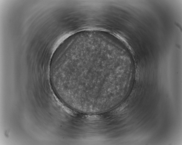 X0000102391231200808221817