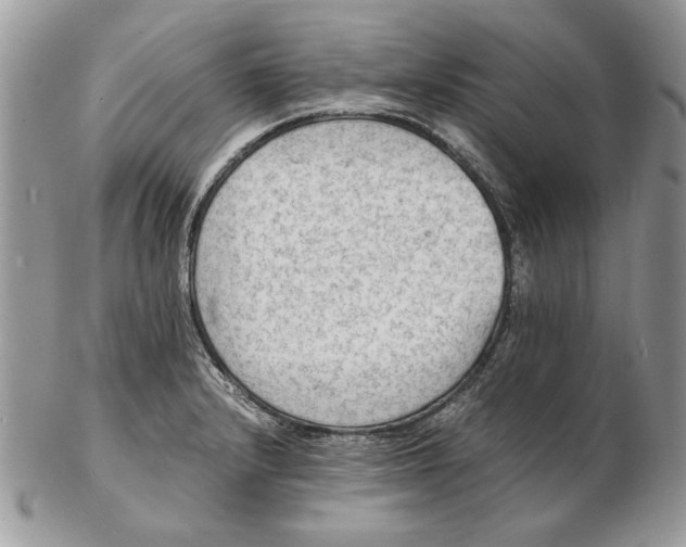 X0000102391232200808221817