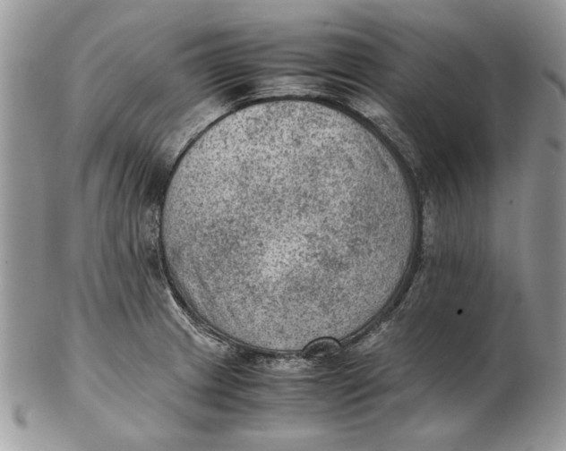 X0000102391233200808221817