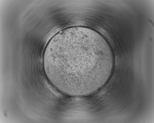 X0000102391234200808221817