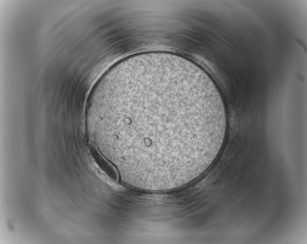 X0000102391236200808221817