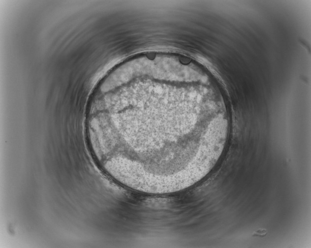 X0000102391237200808221817