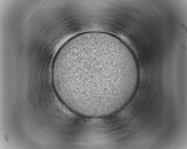 X0000102391238200808221817