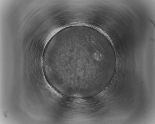 X0000102391239200808221817