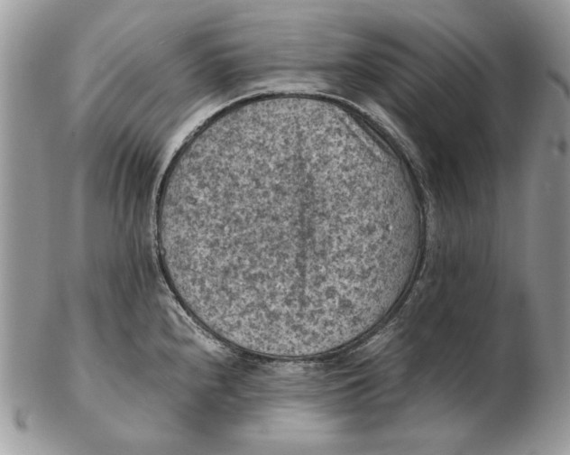 X0000102391240200808221817